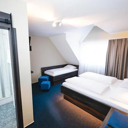 Hotel Am Park 3*